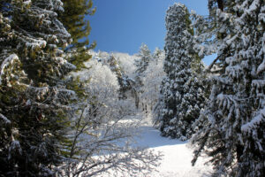 Neve a Pavullo